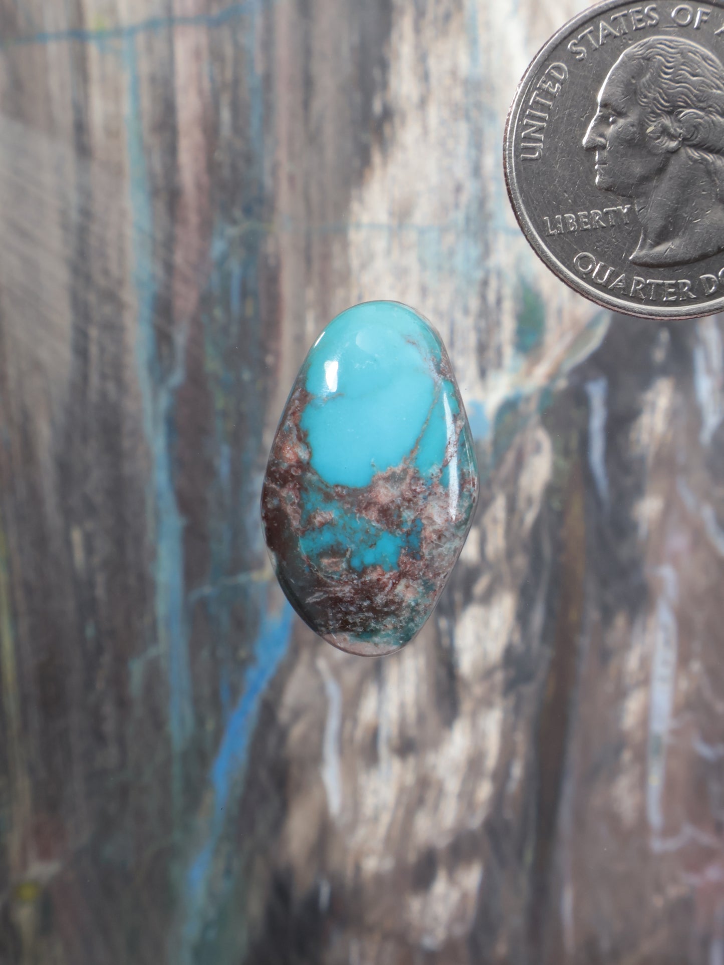 Turquoise cabochon gemstone, oval with blue stone and brown matrix detail