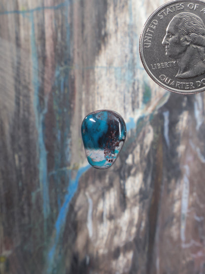 Turquoise cabochon with dark speckled matrix, rounded oval form