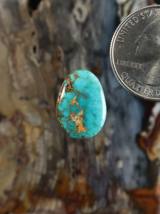 Oval turquoise cabochon gemstone with gold-brown matrix and smooth polished surface
