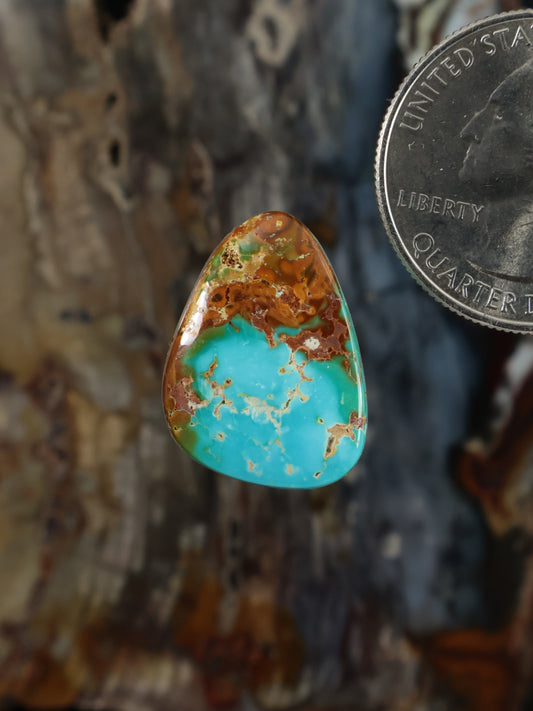 Turquoise and amber teardrop cabochon gemstone with marbled matrix