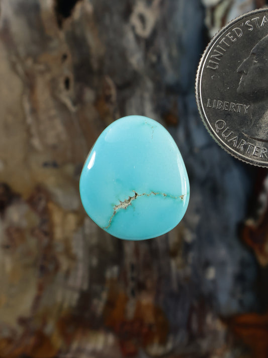 Turquoise teardrop cabochon with light brown web matrix pattern