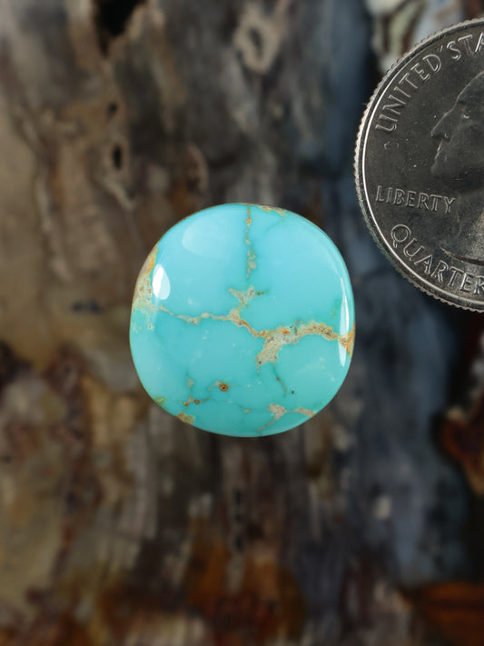 Round turquoise cabochon gemstone with gold-toned veining and polished dome