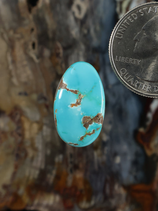 Turquoise cabochon gemstone in oval shape with brown matrix veining