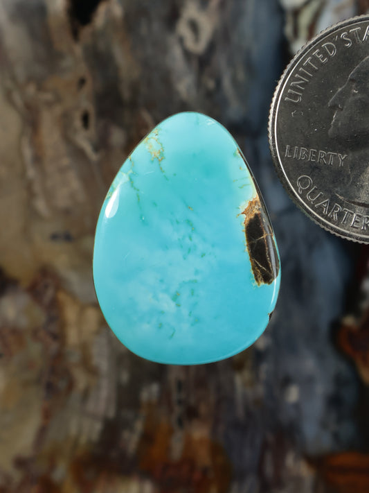 Turquoise cabochon gemstone in a teardrop shape, polished and smooth