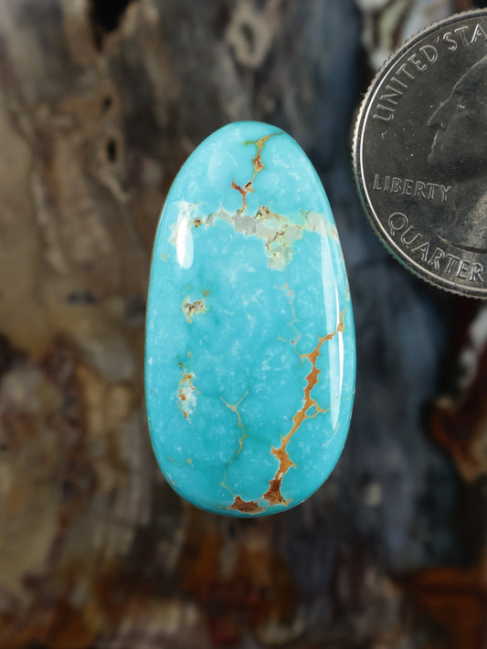Turquoise cabochon gemstone with golden matrix veining, oval polished stone