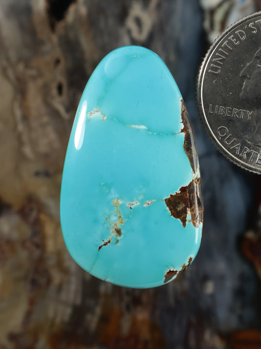 Turquoise cabochon gemstone, oval teardrop shape with gold veining and brown matrix