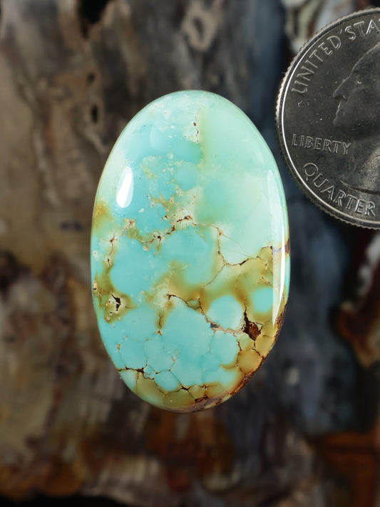 Oval turquoise cabochon gemstone, light blue with gold-brown veining.