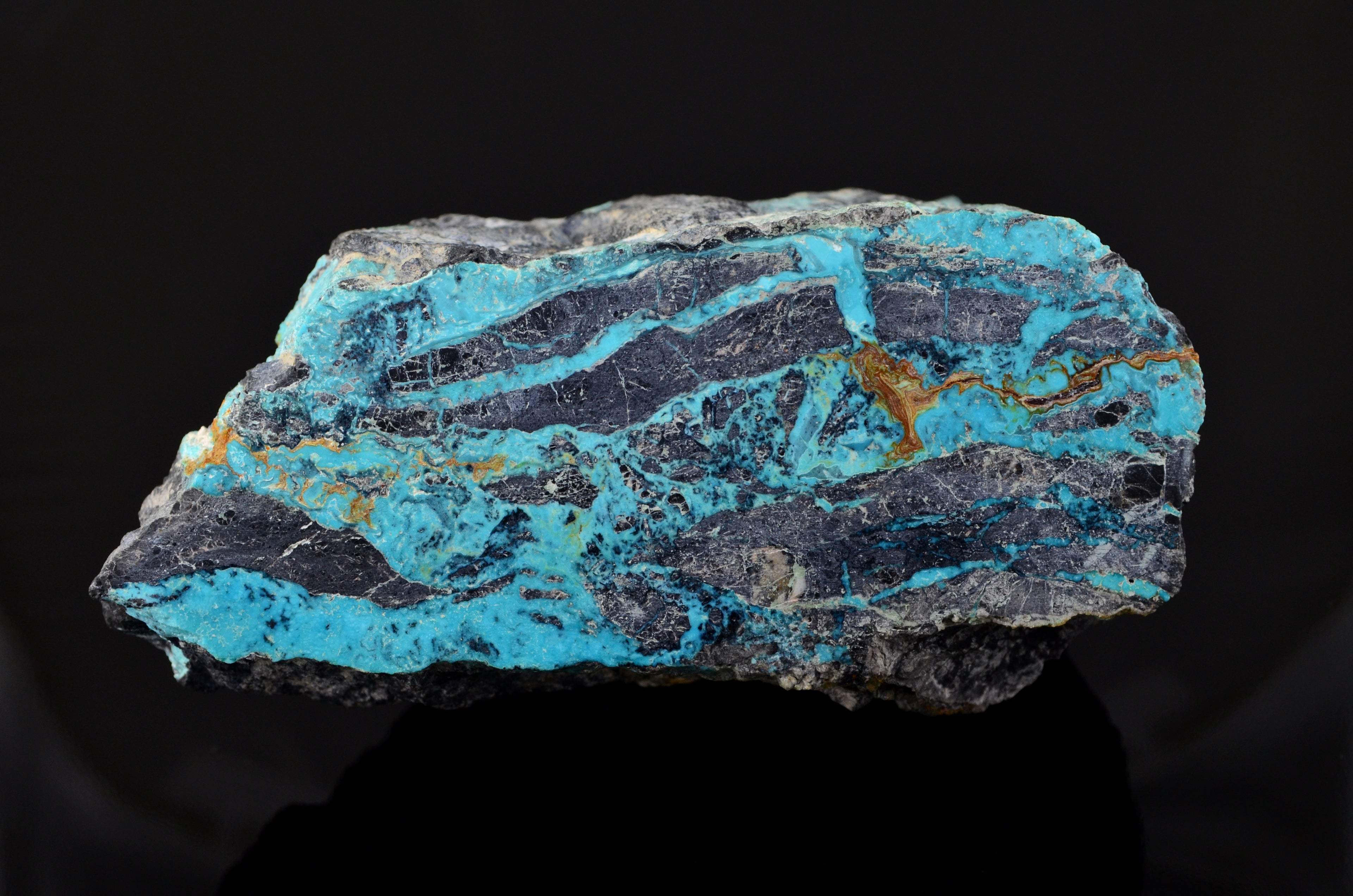 A raw mineral specimen featuring vibrant turquoise blue veins running through a dark gray to black matrix, with subtle golden-brown inclusions.