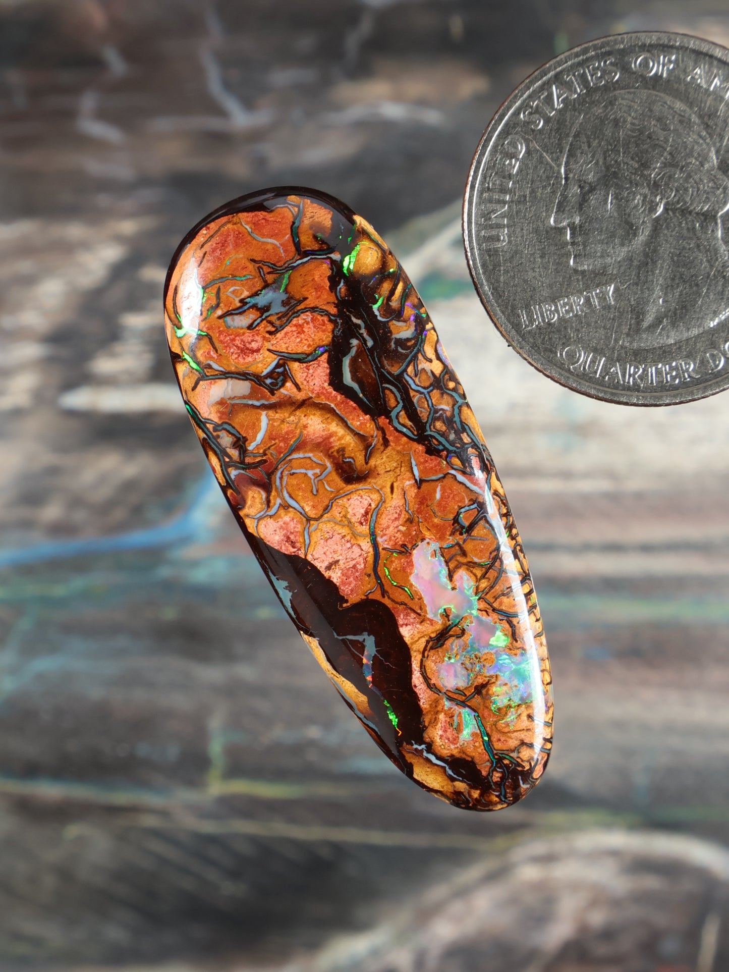 Yowah Boulder Opal cabochon, tilted oval with orange body, blue-green highlights, black matrix