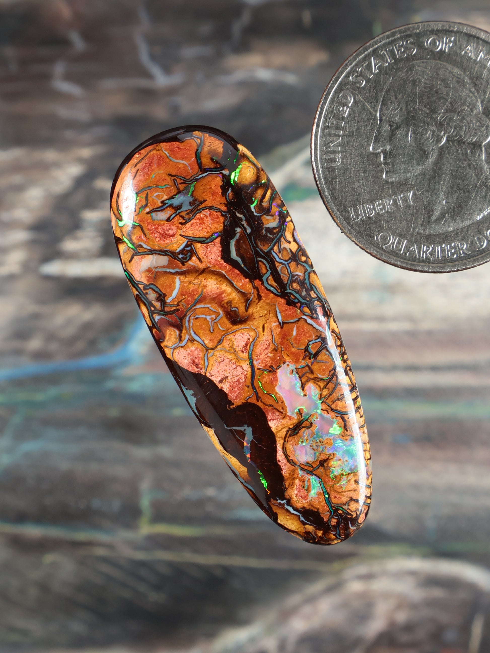 Yowah Boulder Opal cabochon, tilted oval with orange body, blue-green highlights, black matrix