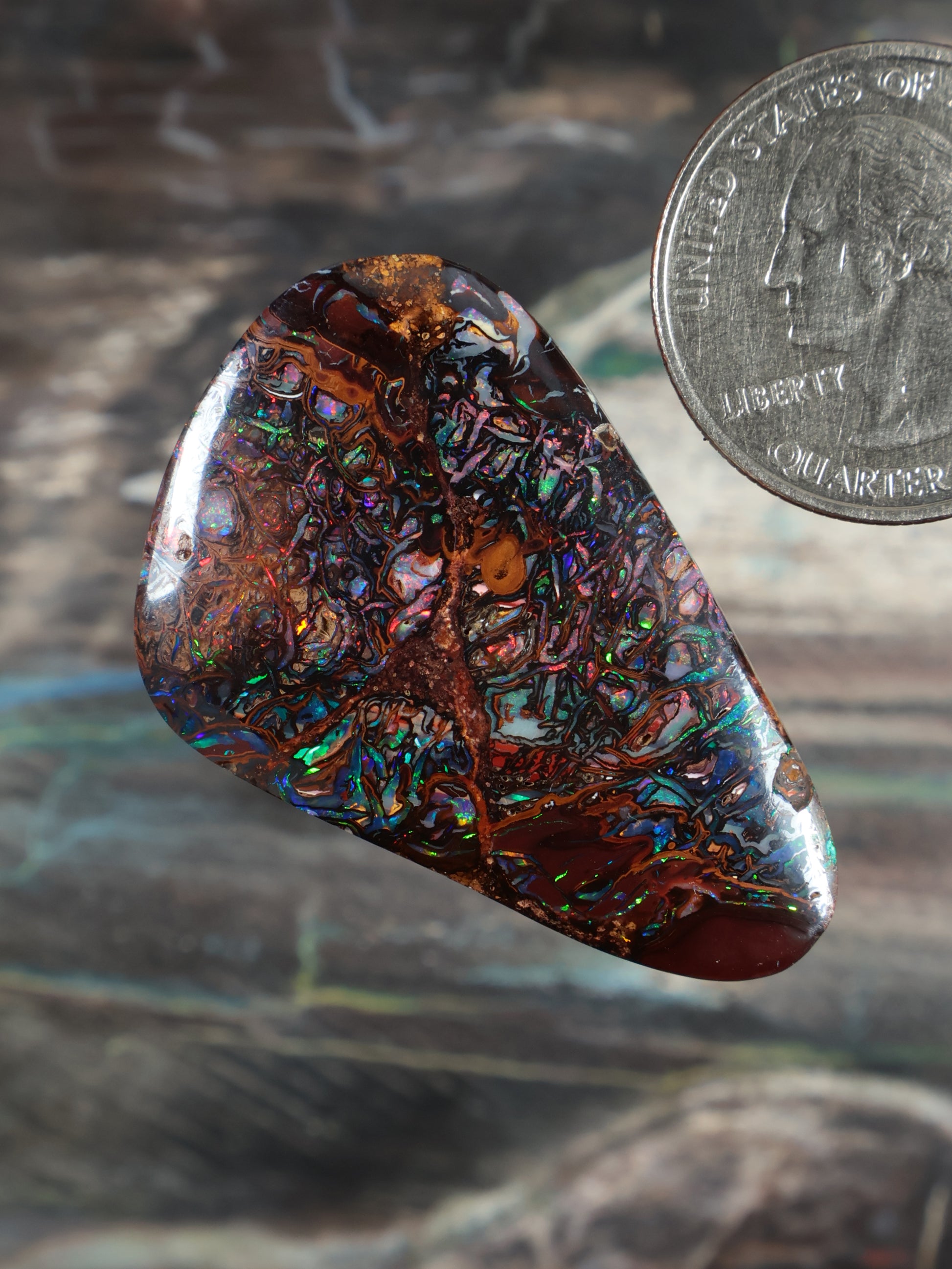 Boulder opal cabochon teardrop, dark brown with vivid blue-green iridescent pattern