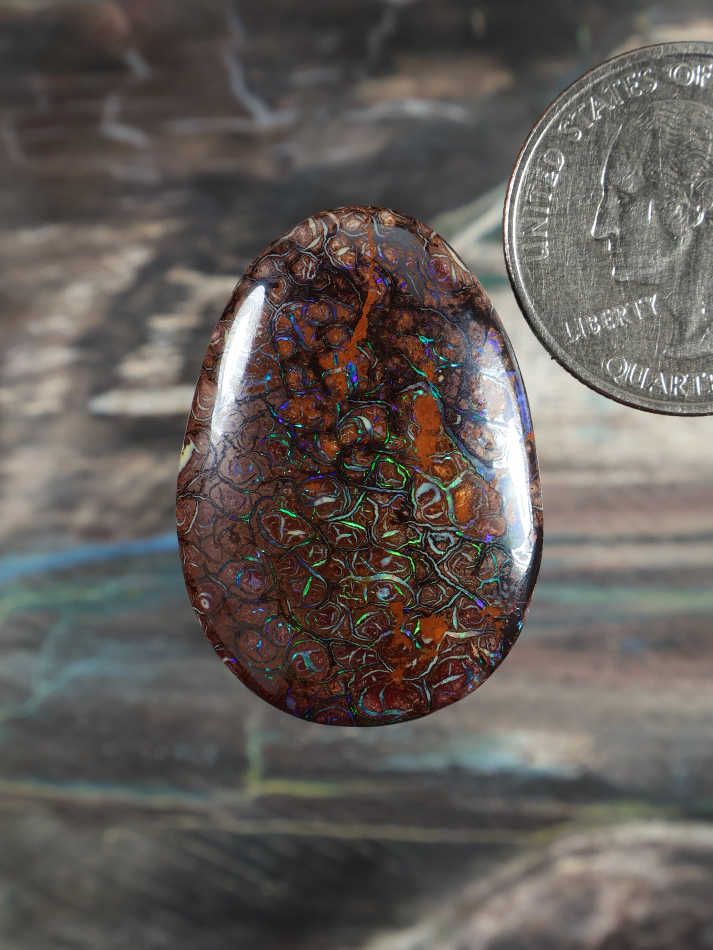 Yowah Boulder opal cabochon, domed teardrop with blue-green swirls on dark brown
