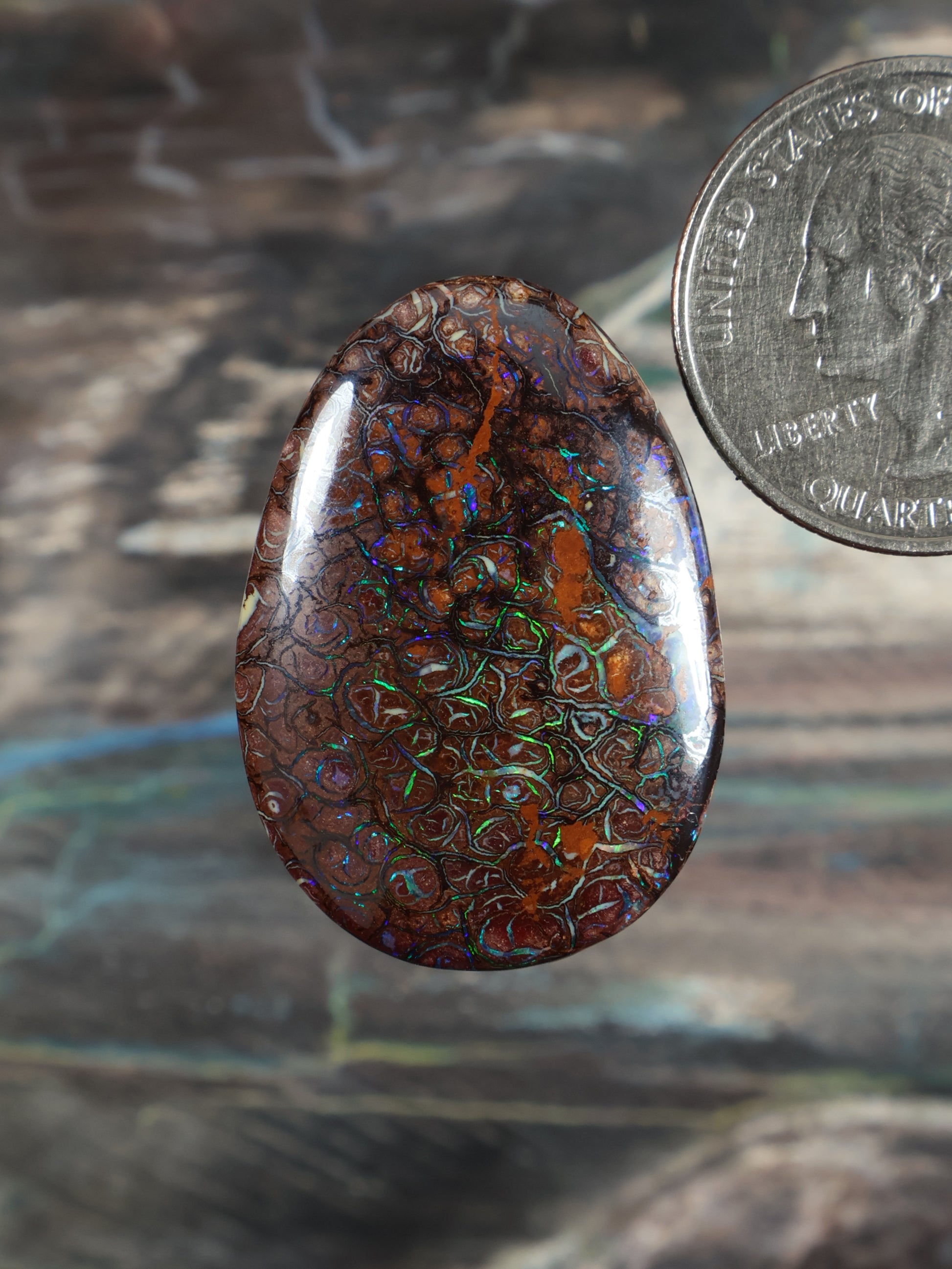 Yowah Boulder opal cabochon, domed teardrop with blue-green swirls on dark brown