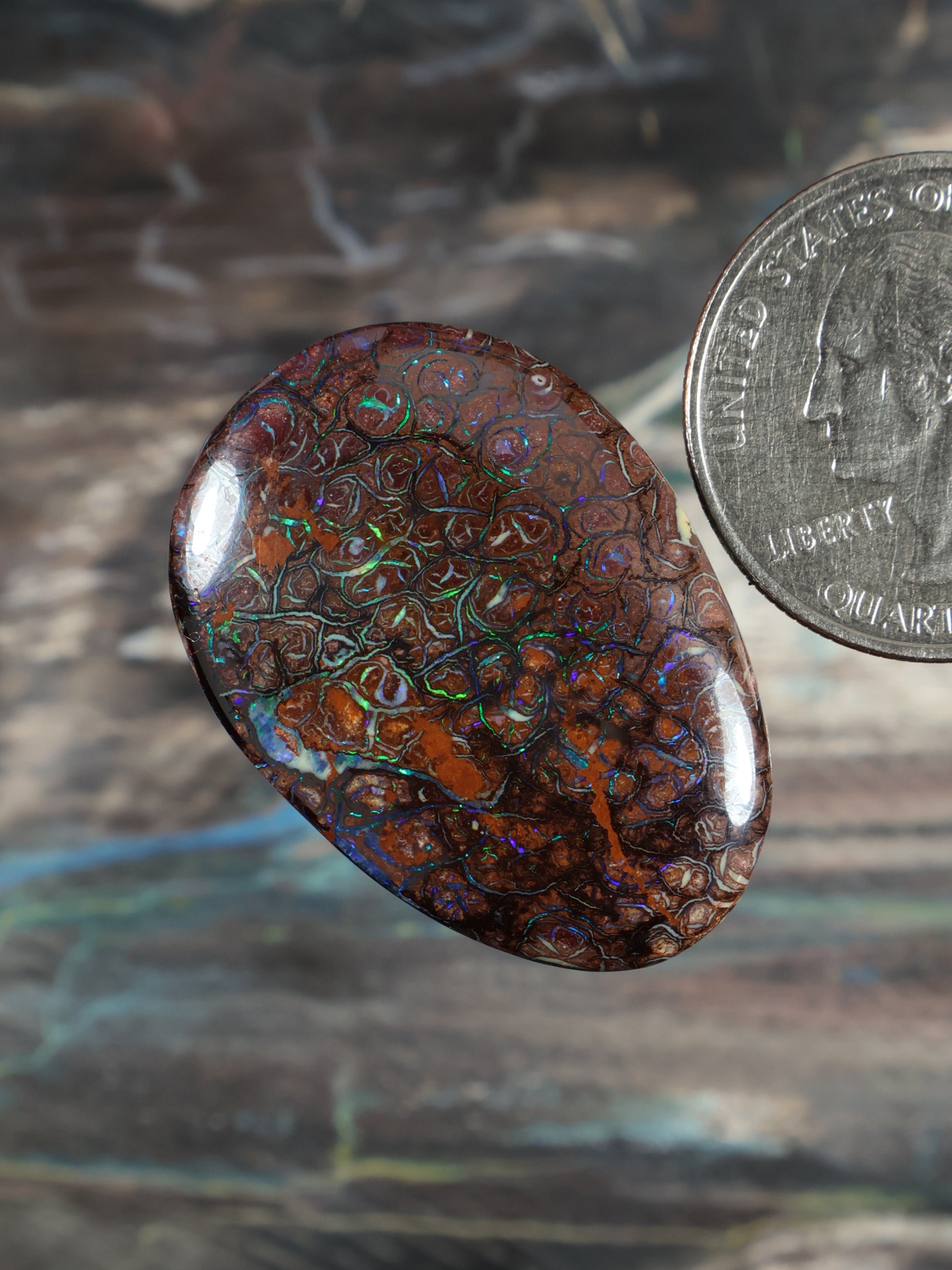 Yowah Boulder opal cabochon, angled teardrop with blue-green pattern on dark brown