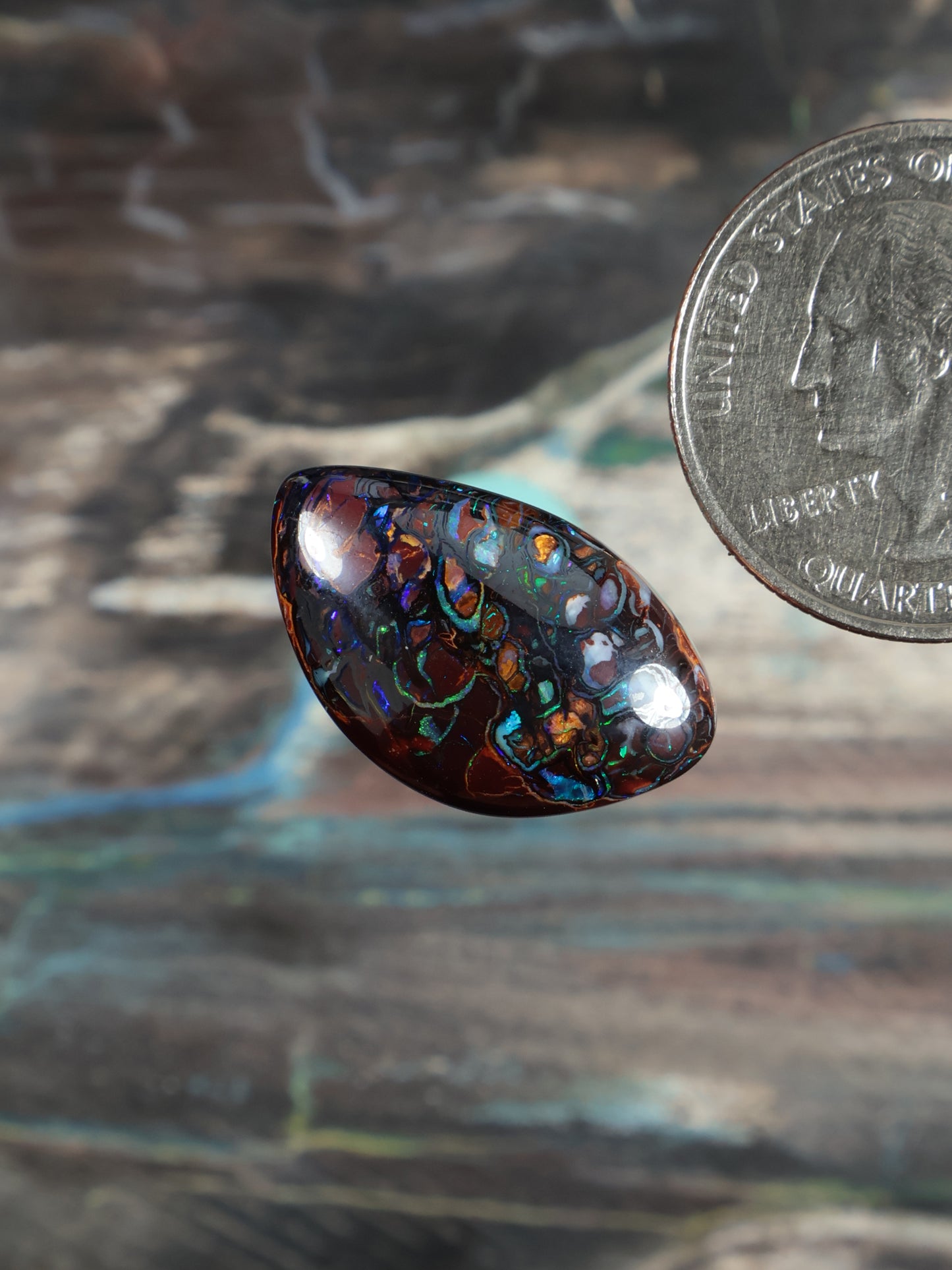 Dark brown boulder opal cabochon, angled view showing blue-green patterning