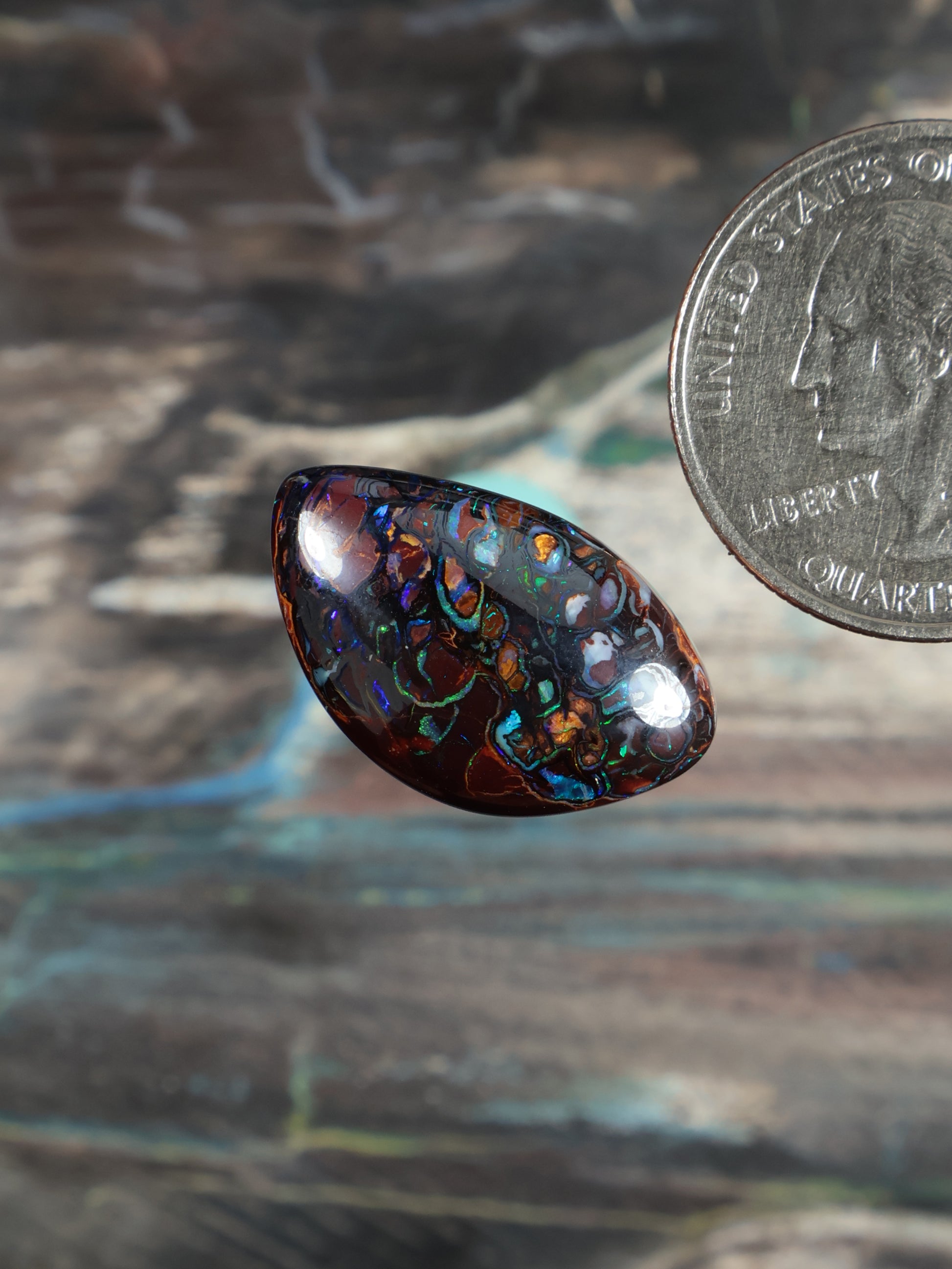 Dark brown boulder opal cabochon, angled view showing blue-green patterning