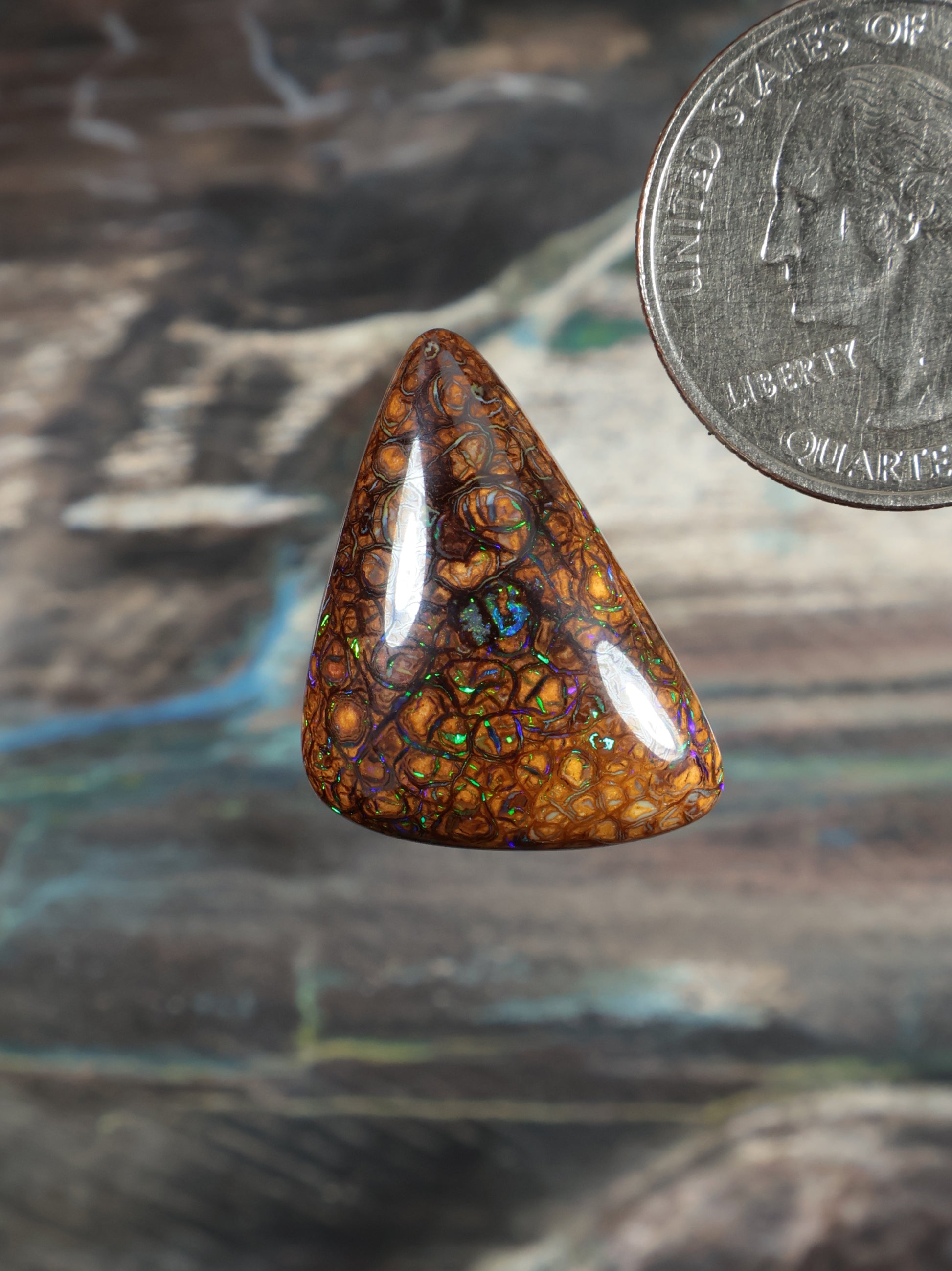 Orange-brown opal cabochon, teardrop with blue-green web pattern; quarter for scale