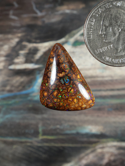 Orange-brown opal cabochon, teardrop with blue-green web pattern; quarter for scale