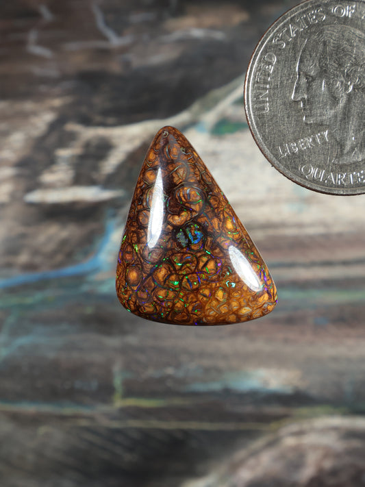 Orange-brown opal cabochon, teardrop with blue-green web pattern; quarter for scale