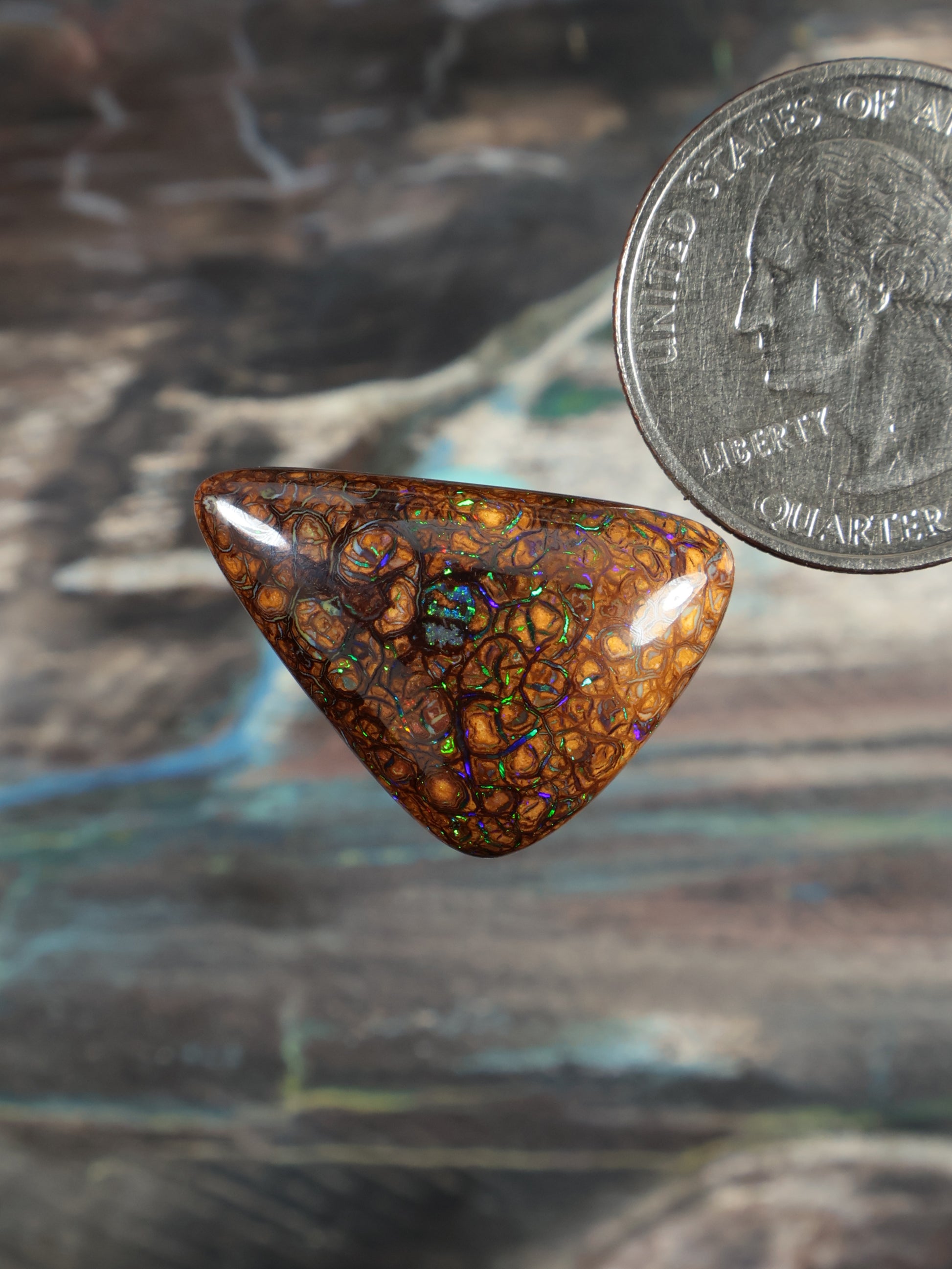 Orange-brown opal cabochon, triangular teardrop shape with blue-green web pattern; quarter
