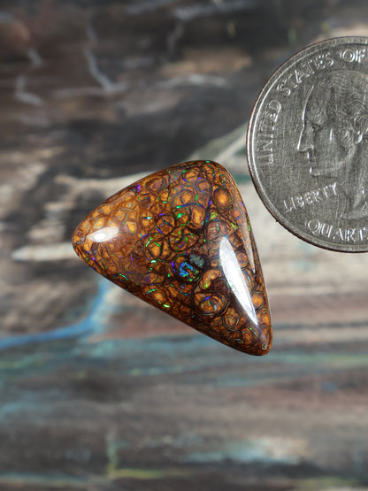 Orange-brown opal cabochon, teardrop angled view with blue-green network pattern; quarter