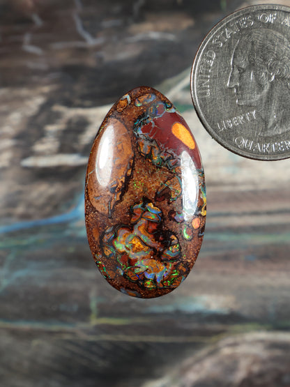 Oval boulder opal cabochon, orange-brown with blue-green iridescent patches