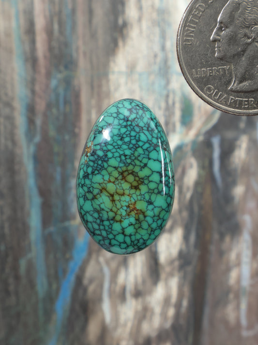 Oval turquoise cabochon with webbed pattern and glossy finish