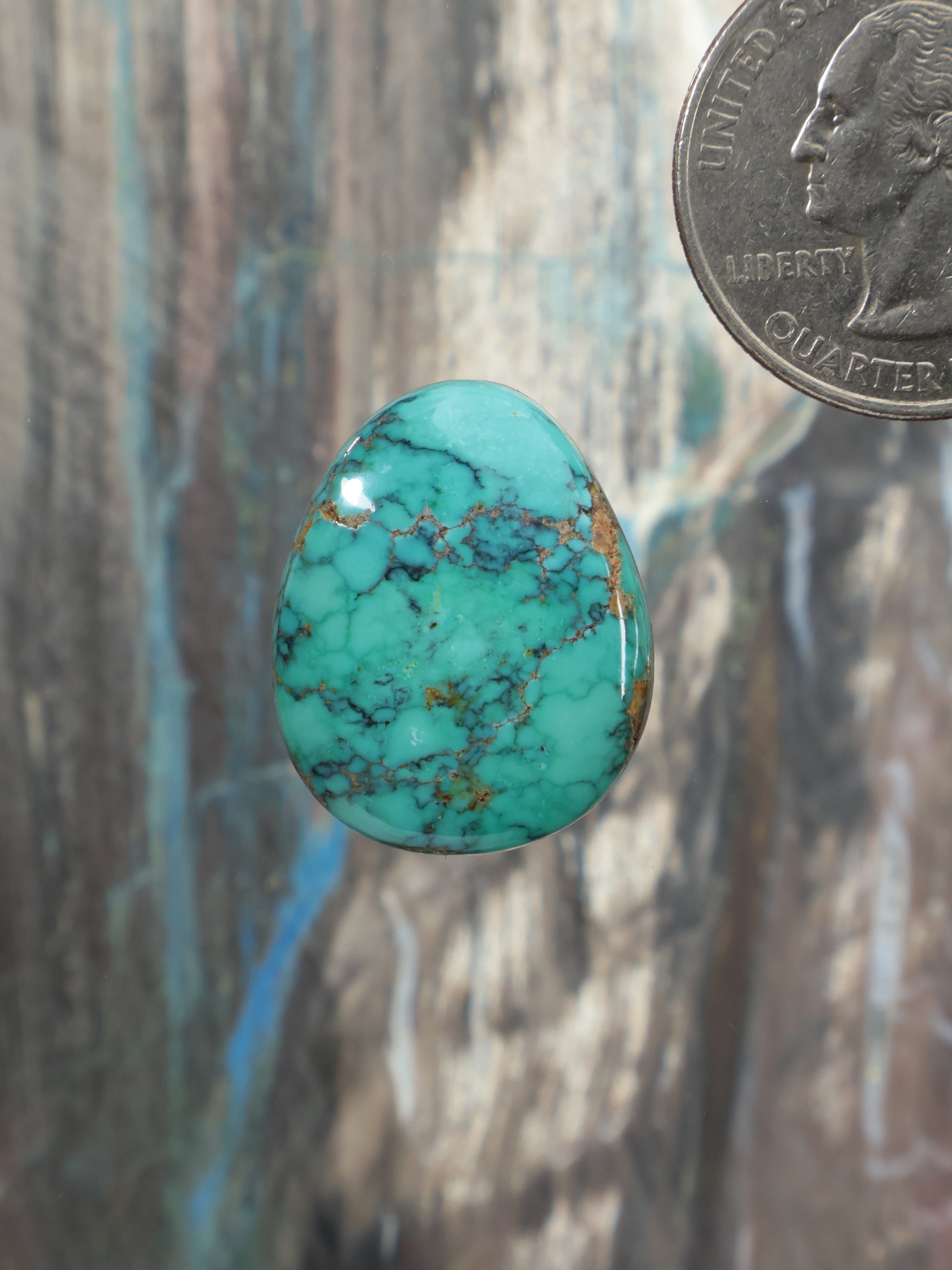 Turquoise oval cabochon gemstone with dark web matrix, polished surface