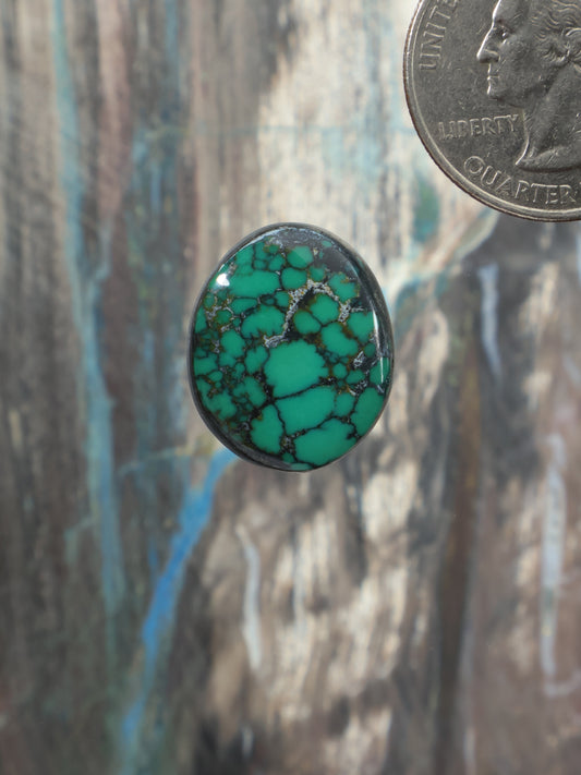 Round turquoise cabochon with dark matrix web pattern, green-blue stone