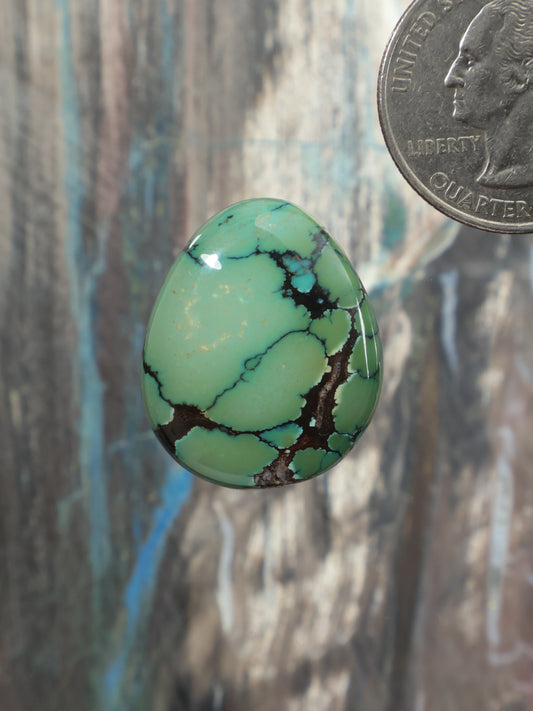Oval turquoise cabochon gemstone with dark matrix veining, green-blue polished.