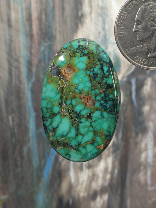 Turquoise cabochon gemstone with oval shape and natural webbed veining