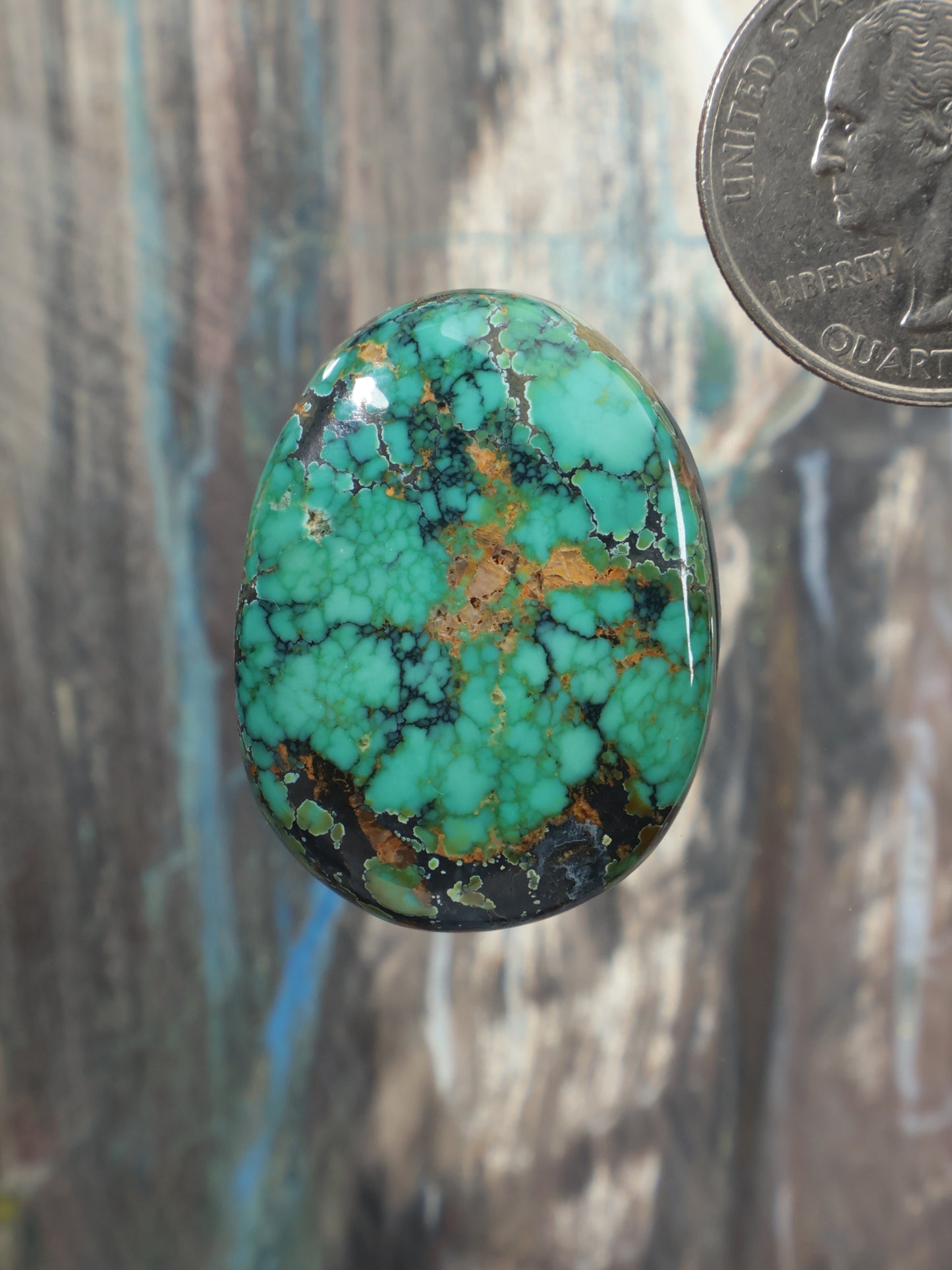 Oval turquoise cabochon with natural web pattern and speckled dark matrix