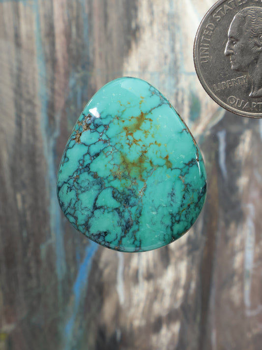 Turquoise teardrop cabochon gemstone with dark web matrix