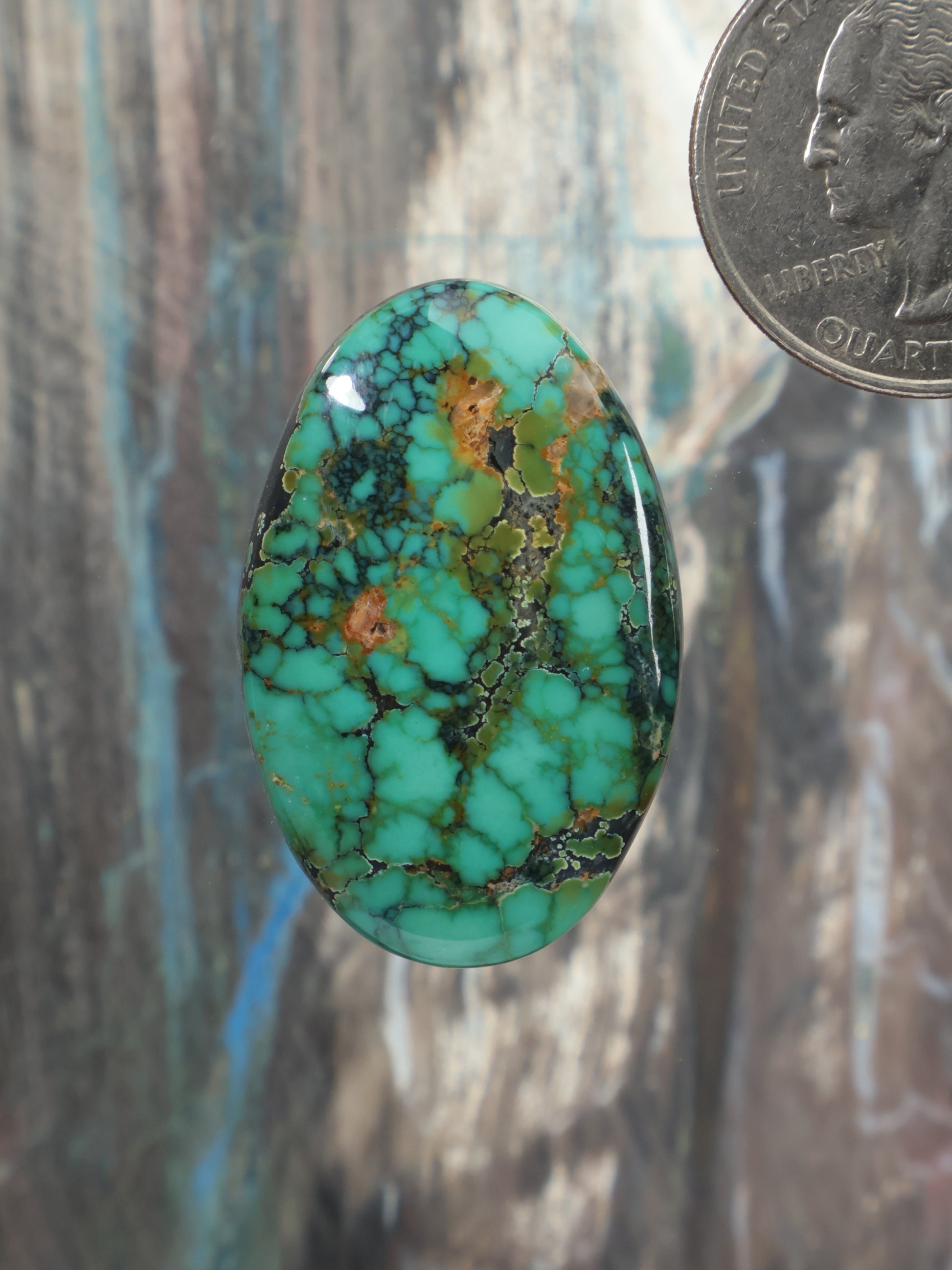 Oval turquoise cabochon gemstone with natural web matrix