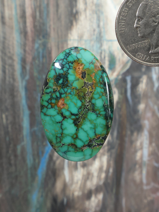 Oval turquoise cabochon gemstone with natural web matrix