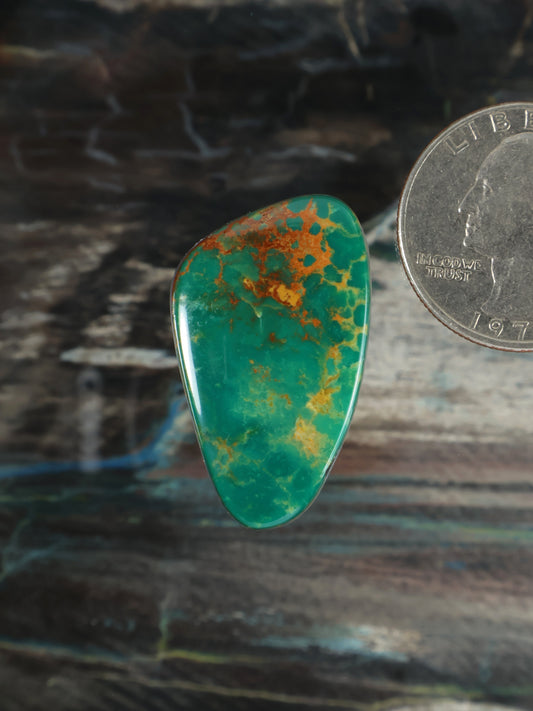 Teardrop turquoise gemstone cabochon with natural mottled pattern and gold accents