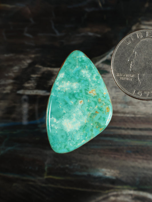 Teardrop green gemstone cabochon with mottled turquoise pattern