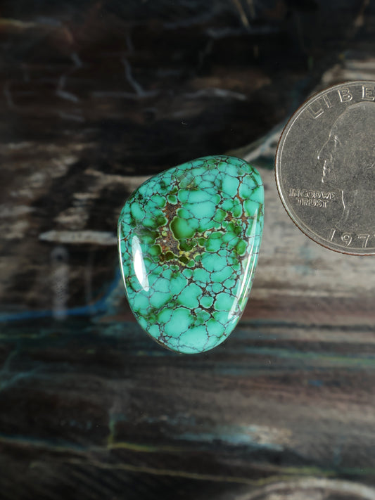 Turquoise green oval gemstone cabochon with natural webbed matrix pattern