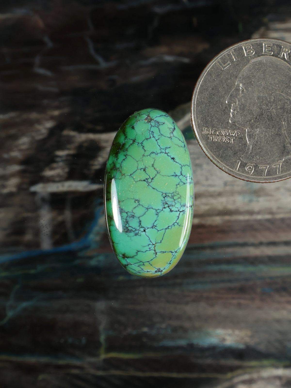 Turquoise green oval cabochon gemstone with webbed vein pattern