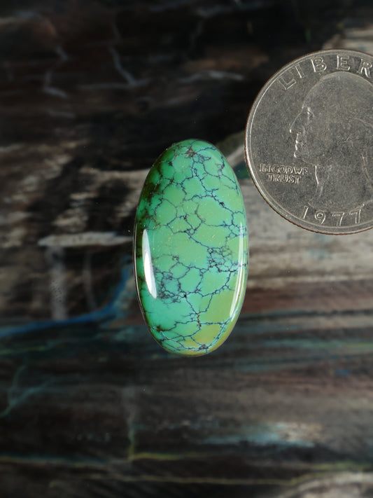 Turquoise green oval cabochon gemstone with webbed vein pattern