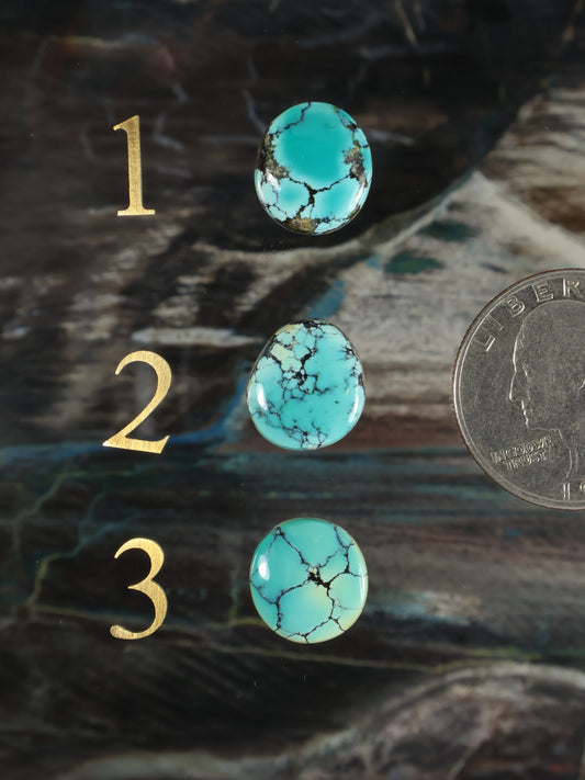 Round turquoise cabochon gemstones with spiderweb veining, three pieces