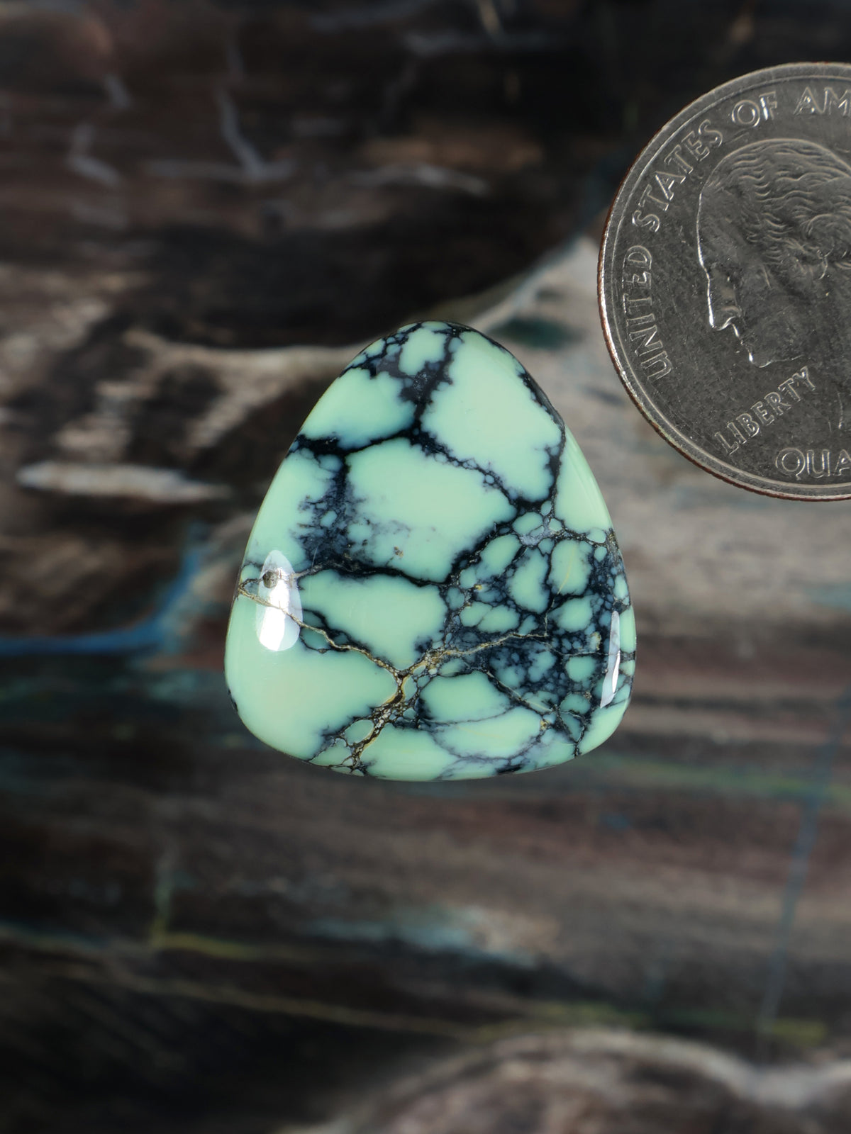 Turquoise teardrop cabochon stone with black web veining