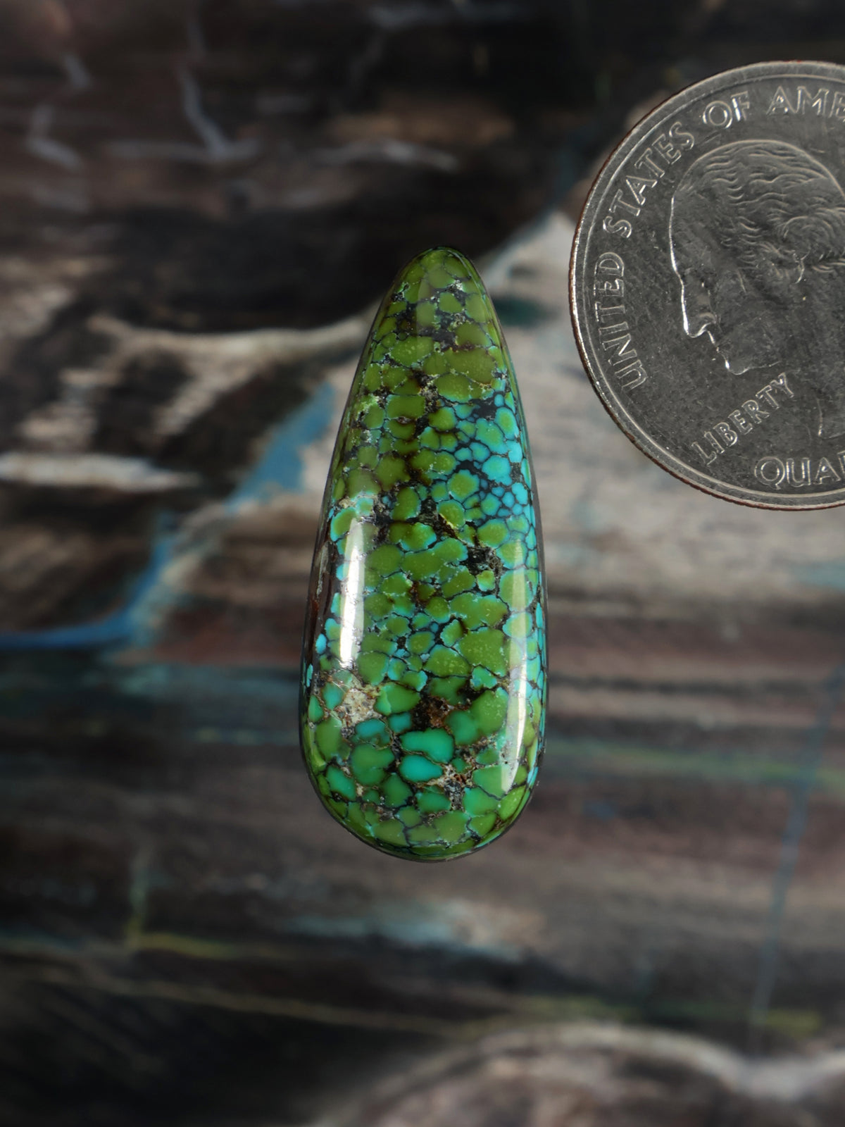 Green teardrop turquoise cabochon with black matrix pattern