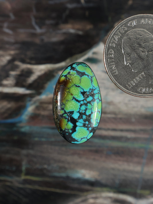 Oval turquoise blue gemstone cabochon with black matrix