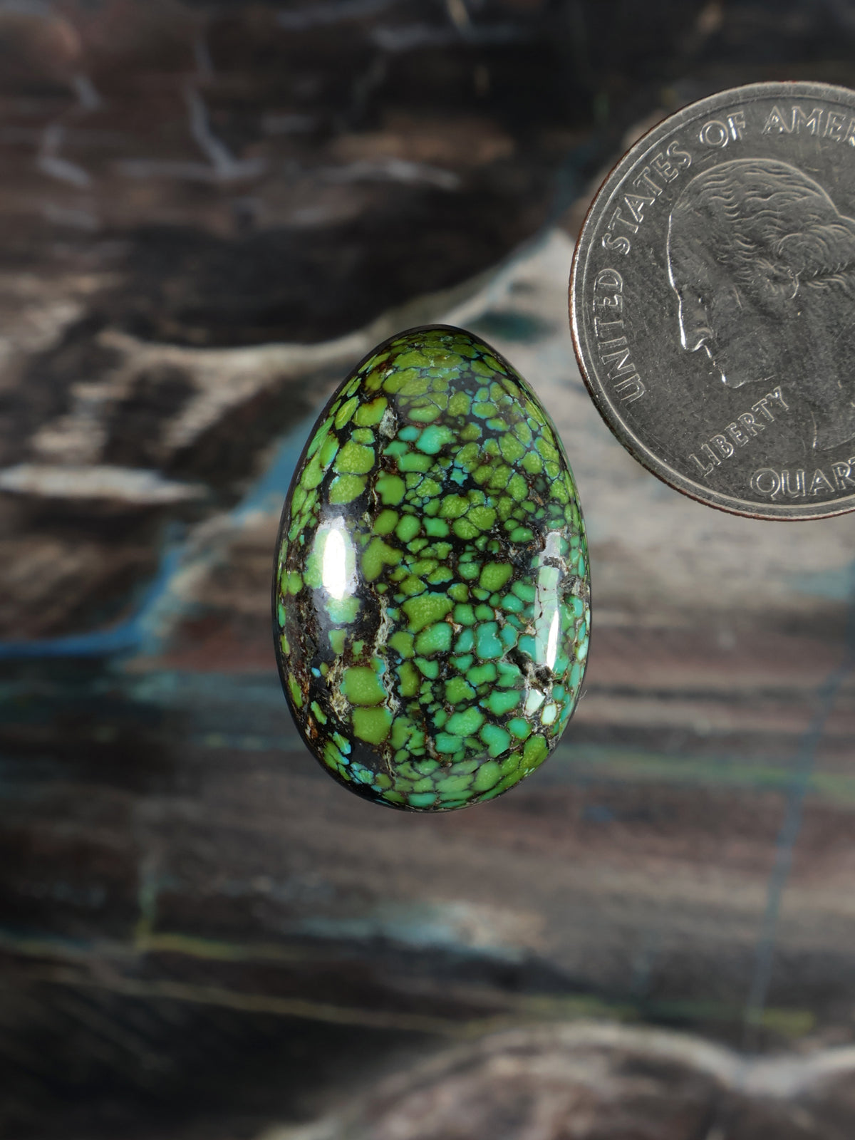Oval green gemstone cabochon with black web matrix, glossy polished finish