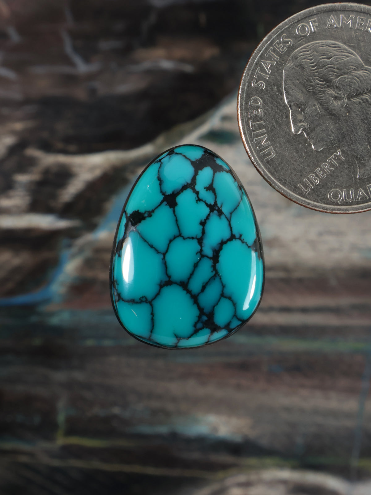 Turquoise teardrop cabochon gemstone with black web pattern