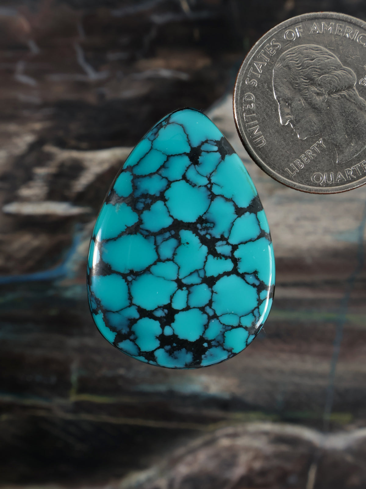 Turquoise blue teardrop cabochon with black webbed matrix detail