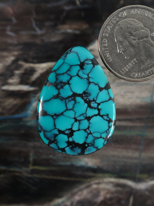 Turquoise blue teardrop cabochon with black webbed matrix detail