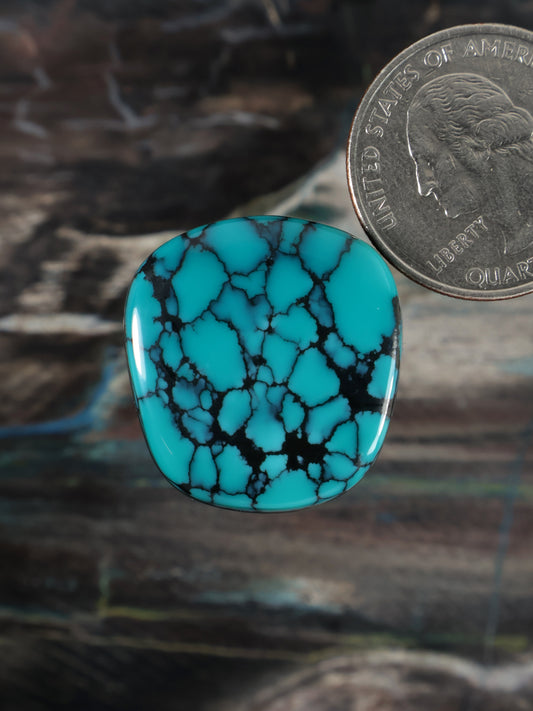 Turquoise oval cabochon with black web pattern, glossy stone disc