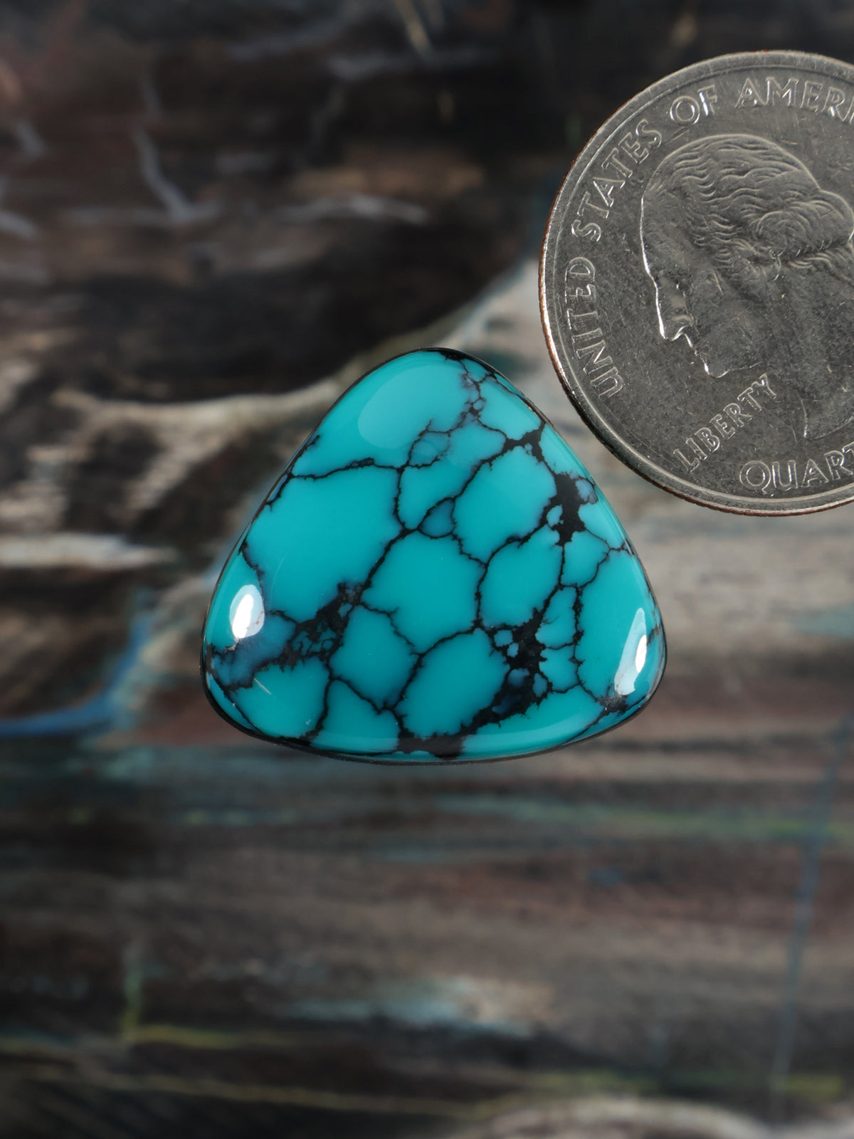 Teal triangular cabochon gemstone with dark webbed matrix detail